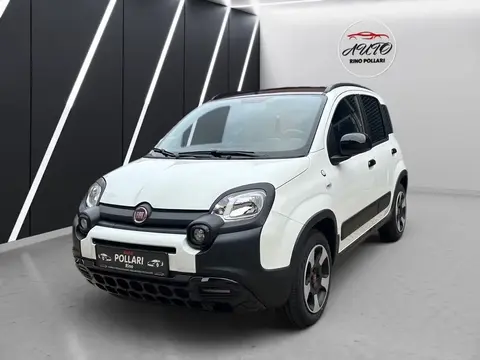 Annonce FIAT PANDA Essence 2019 d'occasion 