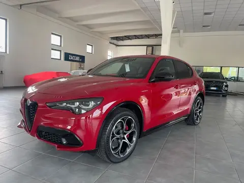 Annonce ALFA ROMEO STELVIO Diesel 2023 d'occasion 