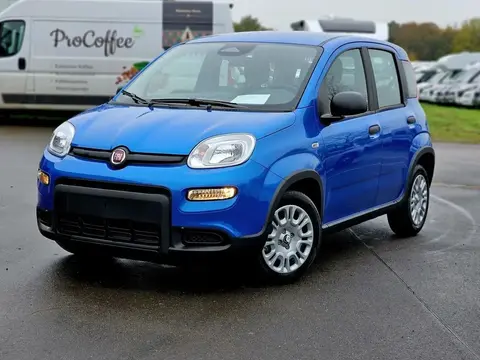 Used FIAT PANDA Petrol 2024 Ad 