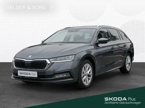 Used SKODA OCTAVIA Diesel 2021 Ad 