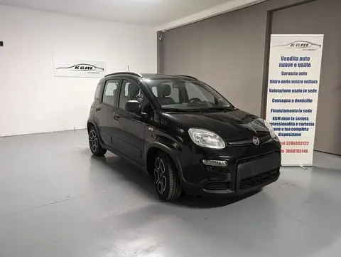 Used FIAT PANDA Hybrid 2021 Ad 