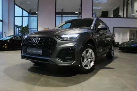 Annonce AUDI Q5 Diesel 2024 d'occasion 