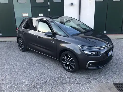 Used CITROEN C4 Diesel 2019 Ad 