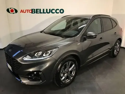 Annonce FORD KUGA Diesel 2022 d'occasion 