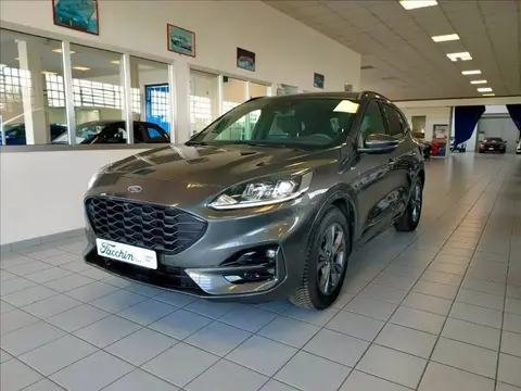 Used FORD KUGA Diesel 2021 Ad 