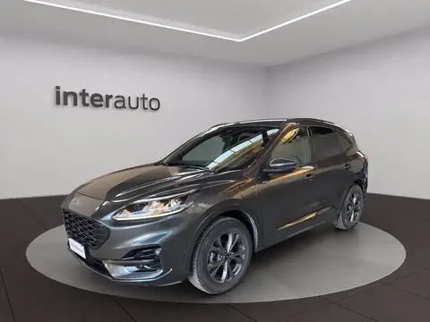 Annonce FORD KUGA Hybride 2021 d'occasion 