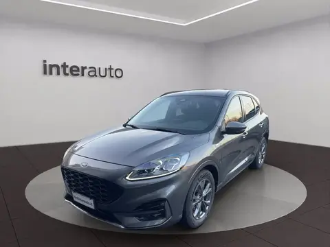 Used FORD KUGA Hybrid 2021 Ad 