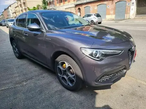 Used ALFA ROMEO STELVIO Petrol 2019 Ad 