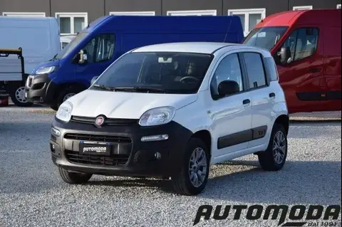 Annonce FIAT PANDA Essence 2019 d'occasion 