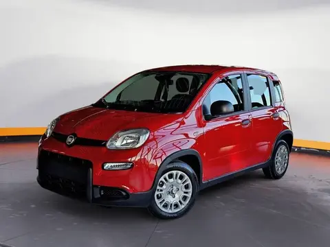 Annonce FIAT PANDA Essence 2024 d'occasion 