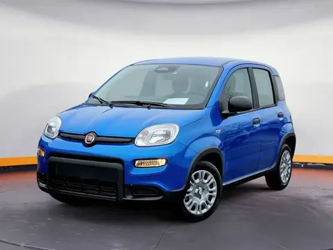 Used FIAT PANDA Petrol 2024 Ad 