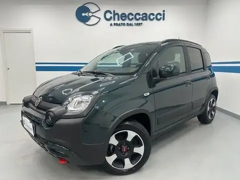 Used FIAT PANDA Hybrid 2024 Ad 