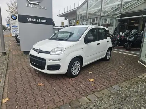 Used FIAT PANDA Petrol 2018 Ad 