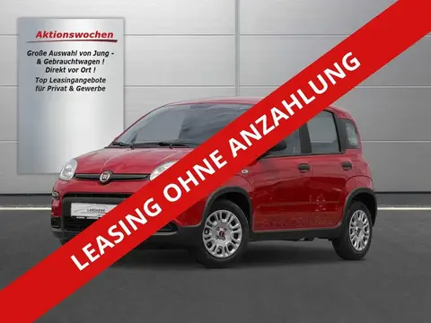 Used FIAT PANDA Petrol 2024 Ad 