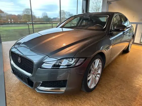 Annonce JAGUAR XF Diesel 2015 d'occasion 