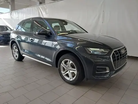 Used AUDI Q5 Diesel 2021 Ad 