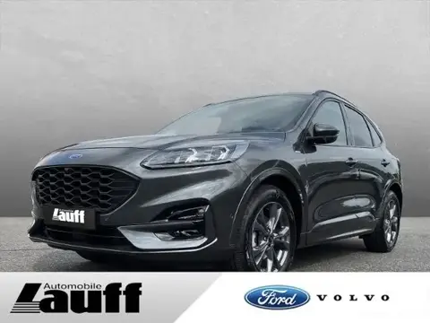 Used FORD KUGA Diesel 2023 Ad 