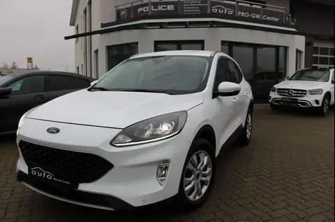 Used FORD KUGA Diesel 2020 Ad 