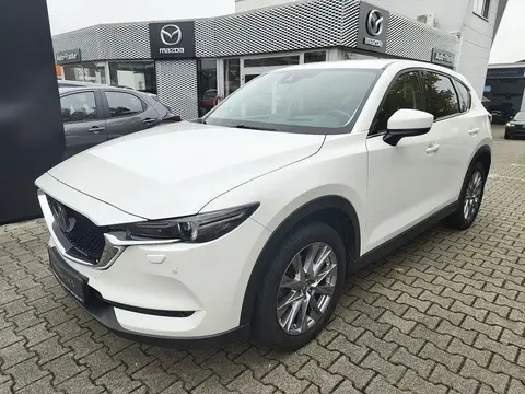 Annonce MAZDA CX-5 Diesel 2019 d'occasion 