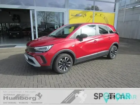 Used OPEL CROSSLAND Petrol 2023 Ad 