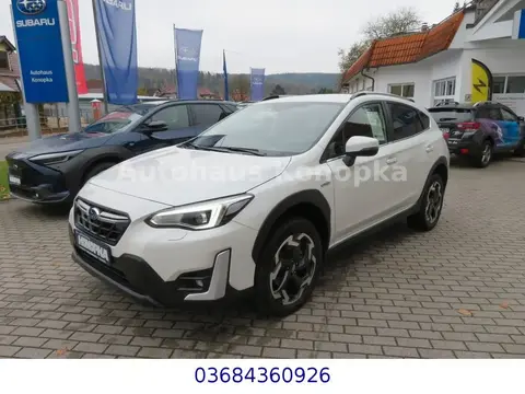 Annonce SUBARU XV Hybride 2022 d'occasion 