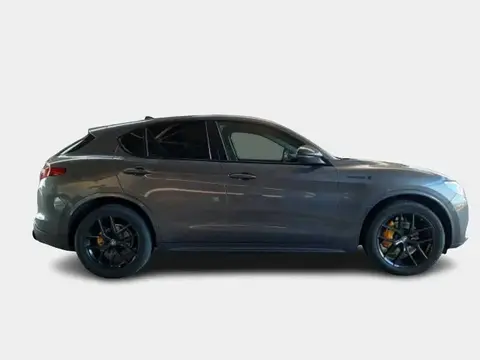 Used ALFA ROMEO STELVIO Diesel 2021 Ad 