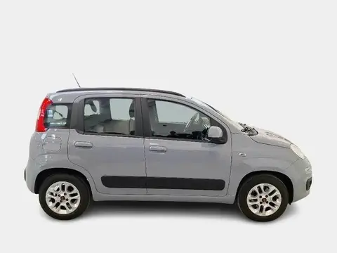 Used FIAT PANDA Petrol 2020 Ad 