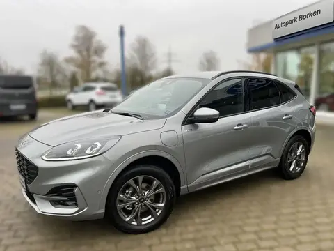 Annonce FORD KUGA Hybride 2024 d'occasion 