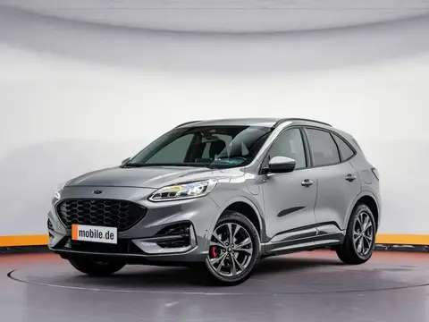 Used FORD KUGA Hybrid 2023 Ad 