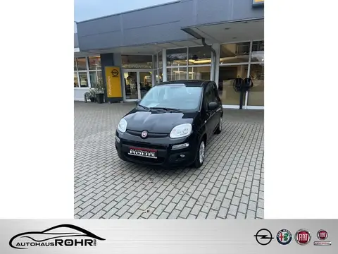 Used FIAT PANDA Petrol 2021 Ad 