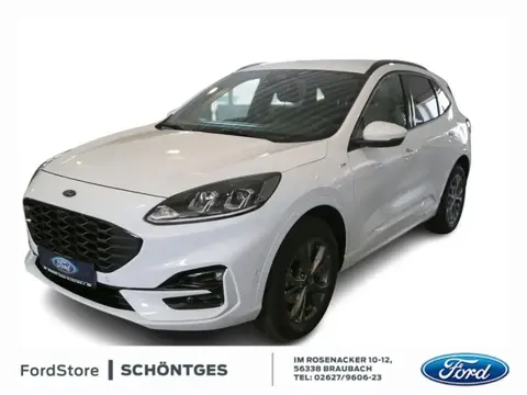 Used FORD KUGA Diesel 2022 Ad 