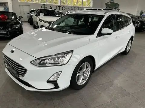 Annonce FORD FOCUS Diesel 2019 d'occasion 