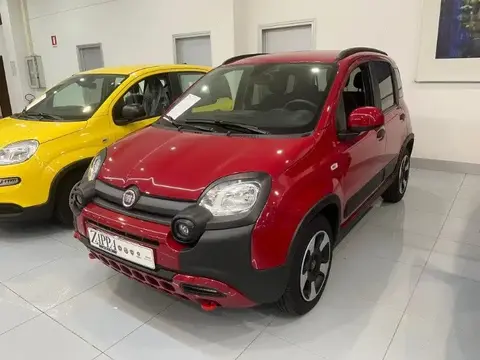 Used FIAT PANDA Hybrid 2024 Ad 