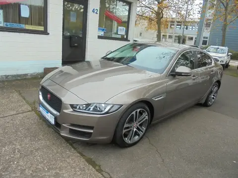 Annonce JAGUAR XE Diesel 2015 d'occasion 