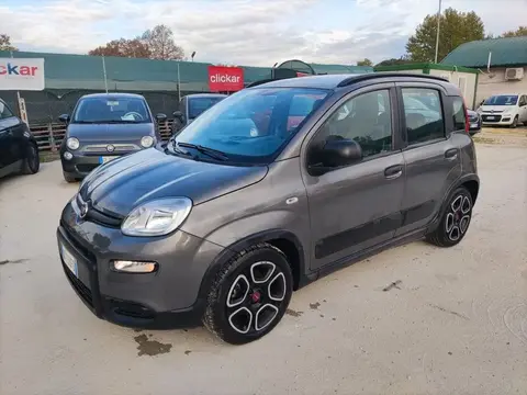 Annonce FIAT PANDA Hybride 2022 d'occasion 