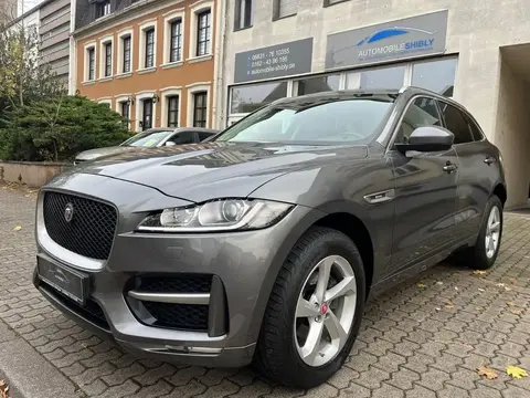 Used JAGUAR F-PACE Diesel 2018 Ad 