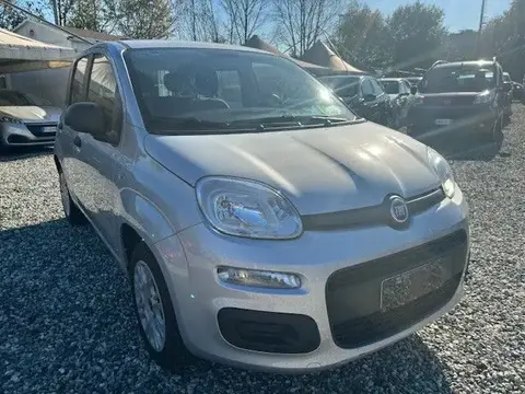 Used FIAT PANDA Petrol 2017 Ad 