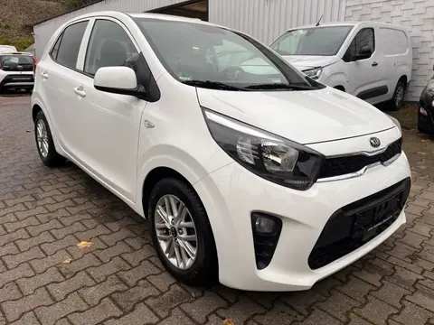 Used KIA PICANTO Petrol 2021 Ad 