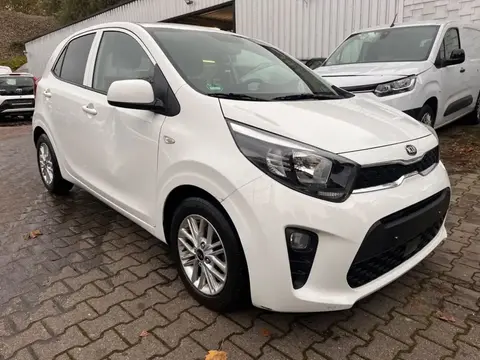 Annonce KIA PICANTO Essence 2021 d'occasion 