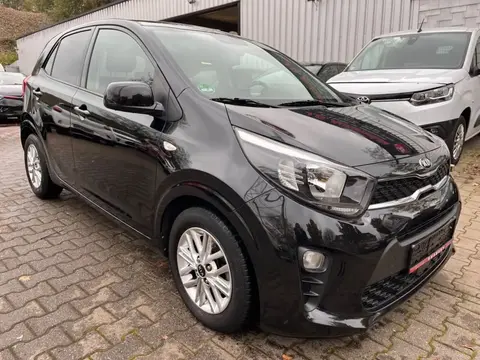 Annonce KIA PICANTO Essence 2021 d'occasion 