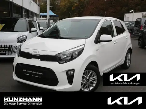 Annonce KIA PICANTO Essence 2023 d'occasion 