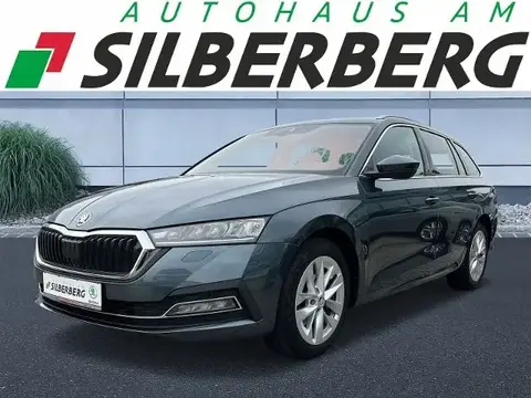 Annonce SKODA OCTAVIA Diesel 2021 d'occasion 