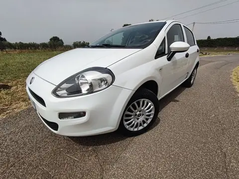 Used FIAT PUNTO  2017 Ad 