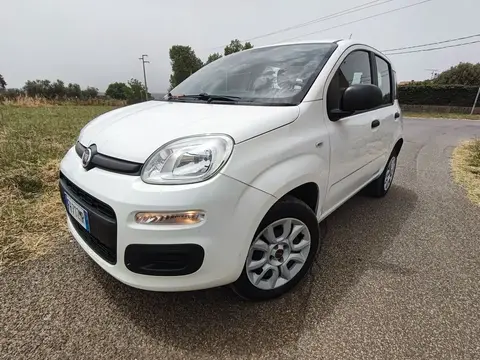 Used FIAT PANDA  2017 Ad 