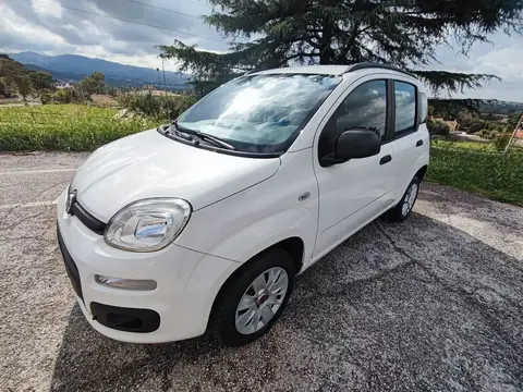 Annonce FIAT PANDA  2017 d'occasion 