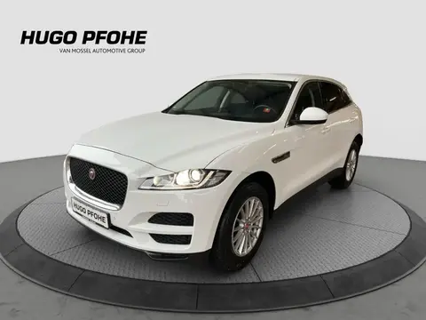 Used JAGUAR F-PACE Diesel 2020 Ad 