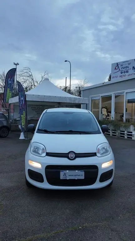 Annonce FIAT PANDA Diesel 2017 d'occasion 