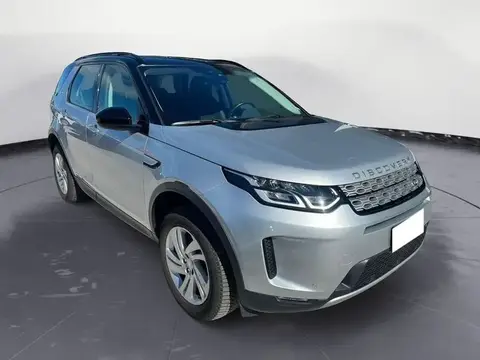 Used LAND ROVER DISCOVERY Hybrid 2020 Ad 