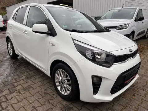 Used KIA PICANTO Petrol 2021 Ad 