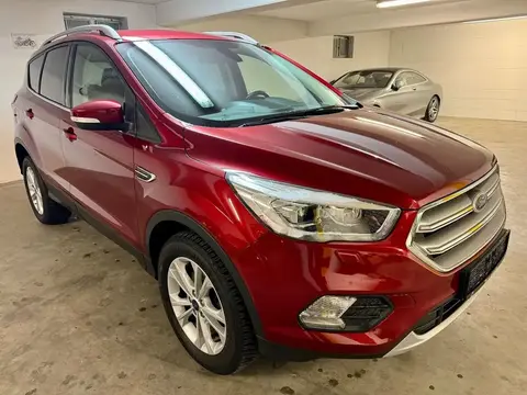 Annonce FORD KUGA Diesel 2019 d'occasion 